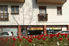 Piazza Unità d' Italia aiuola