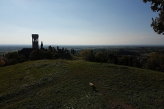 Panorama collinare