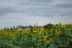 Le-colline-di-Fagagna