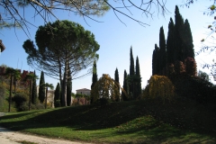 Perimetro castello di Villalta
