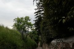 Vicolo-Fagagna