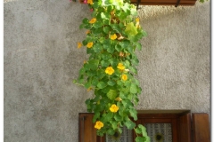 Fagagna balcone