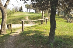 Camminata parco del cjastenar