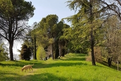 Fagagna collina