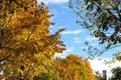 Parco-del-Cjastenar